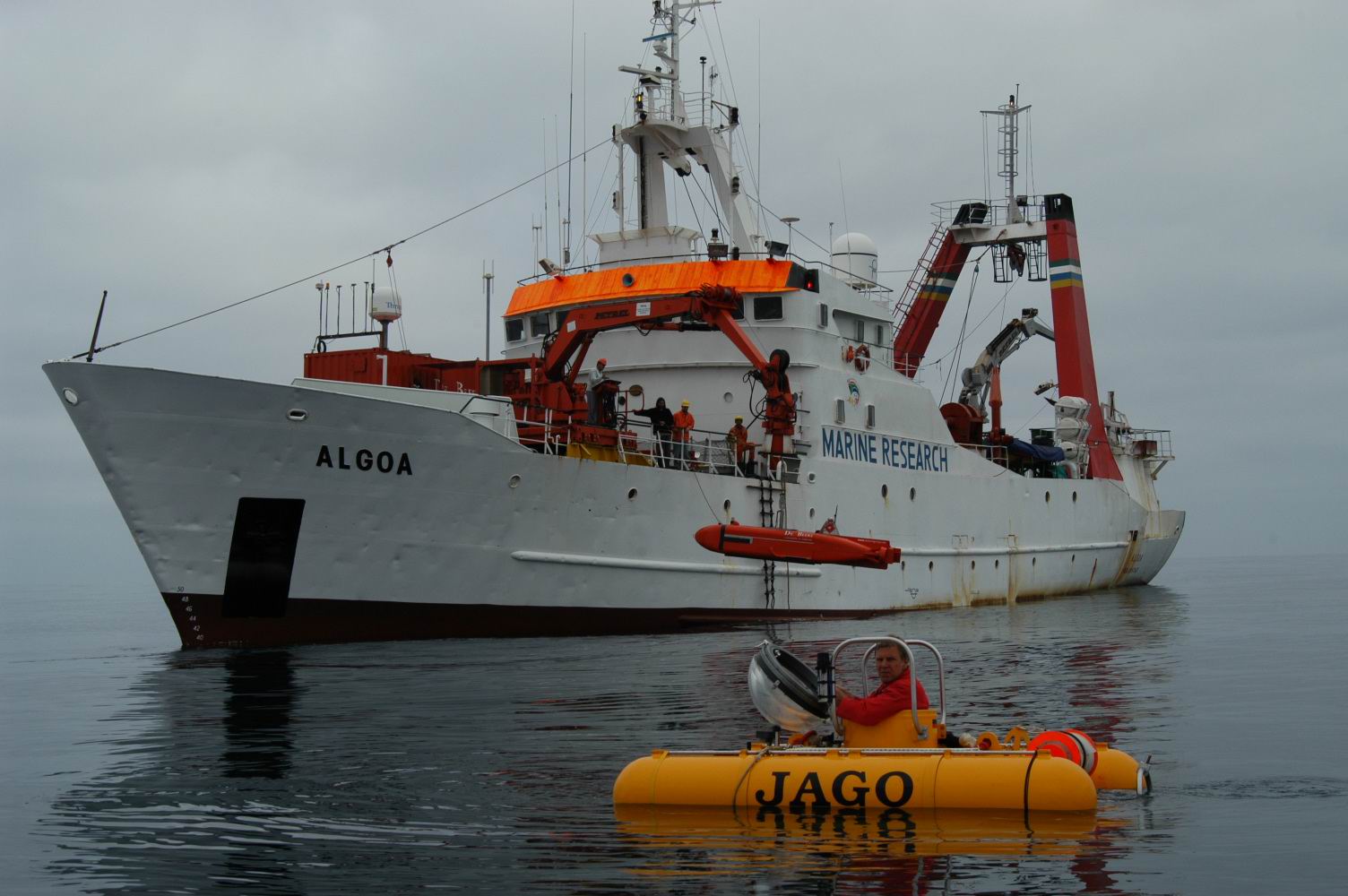 algoa1